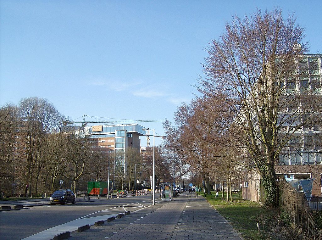 Van der Boechorststraat - Amsterdam