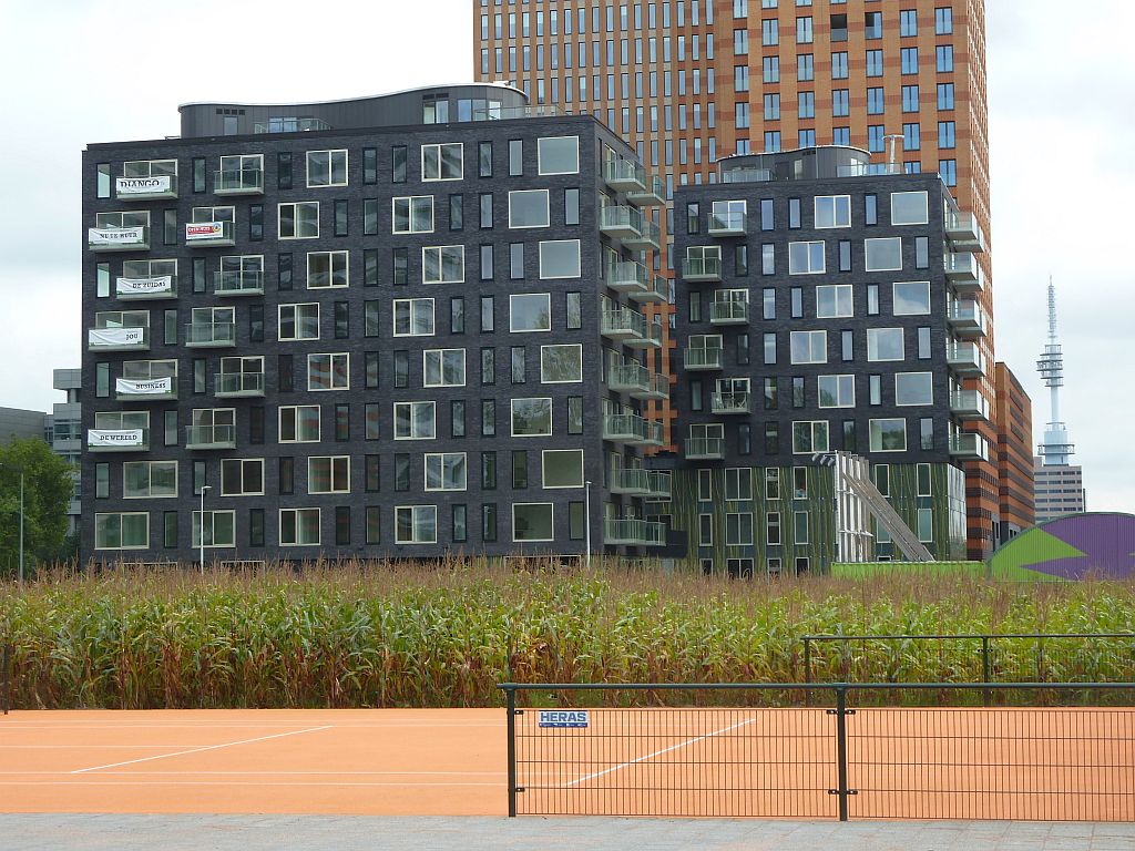 Maisdoolhof - Django Building - Amsterdam
