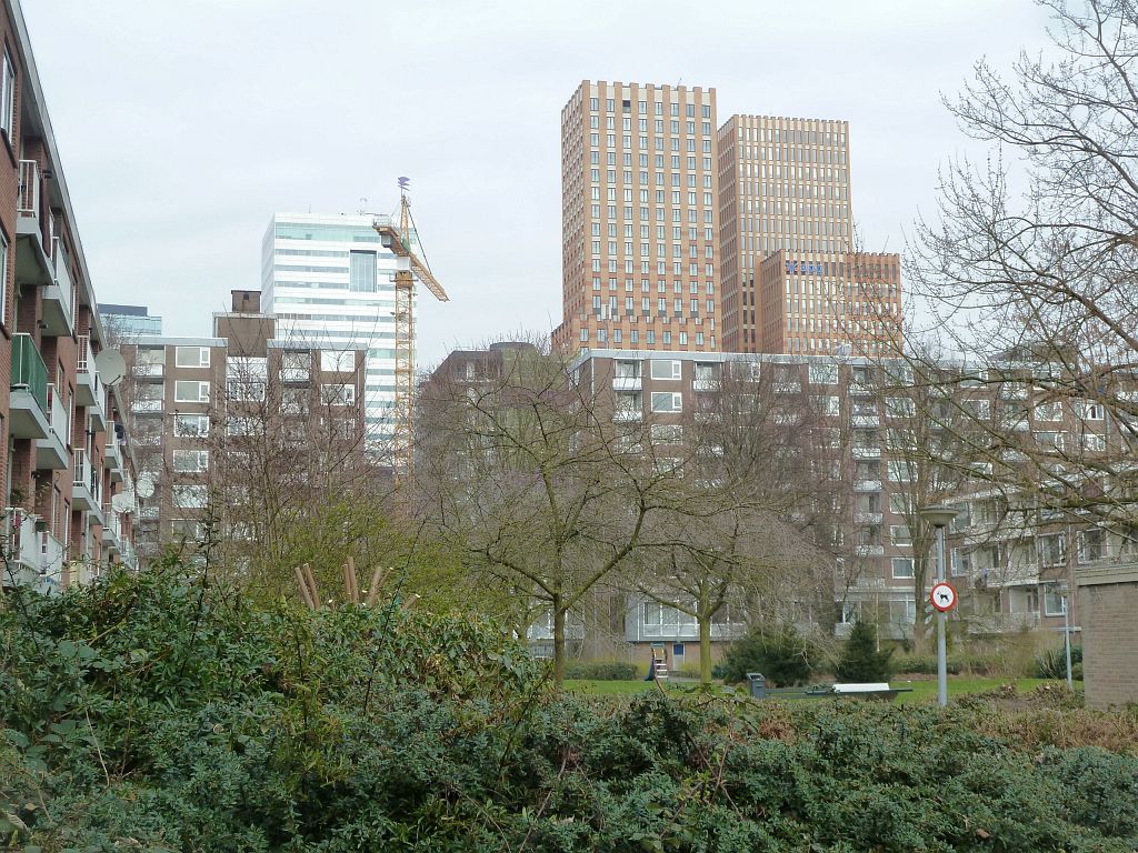 Wedderborg - Amsterdam