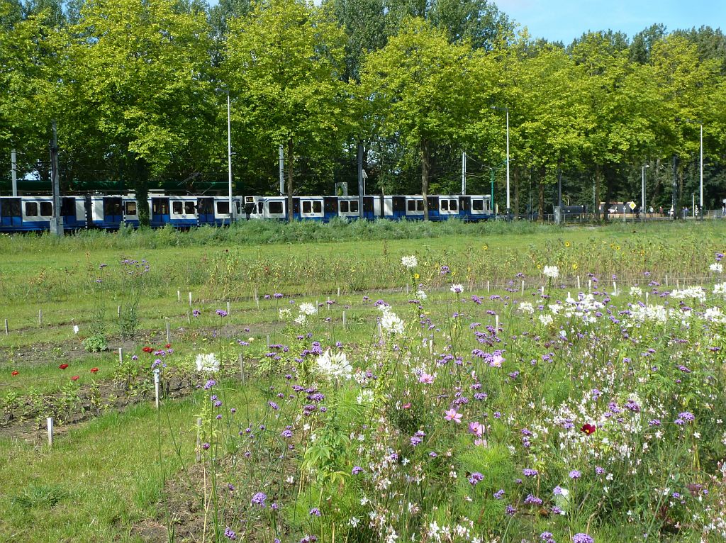 Tijdelijk Park Zuidas - Buitenveldertselaan - Amsterdam